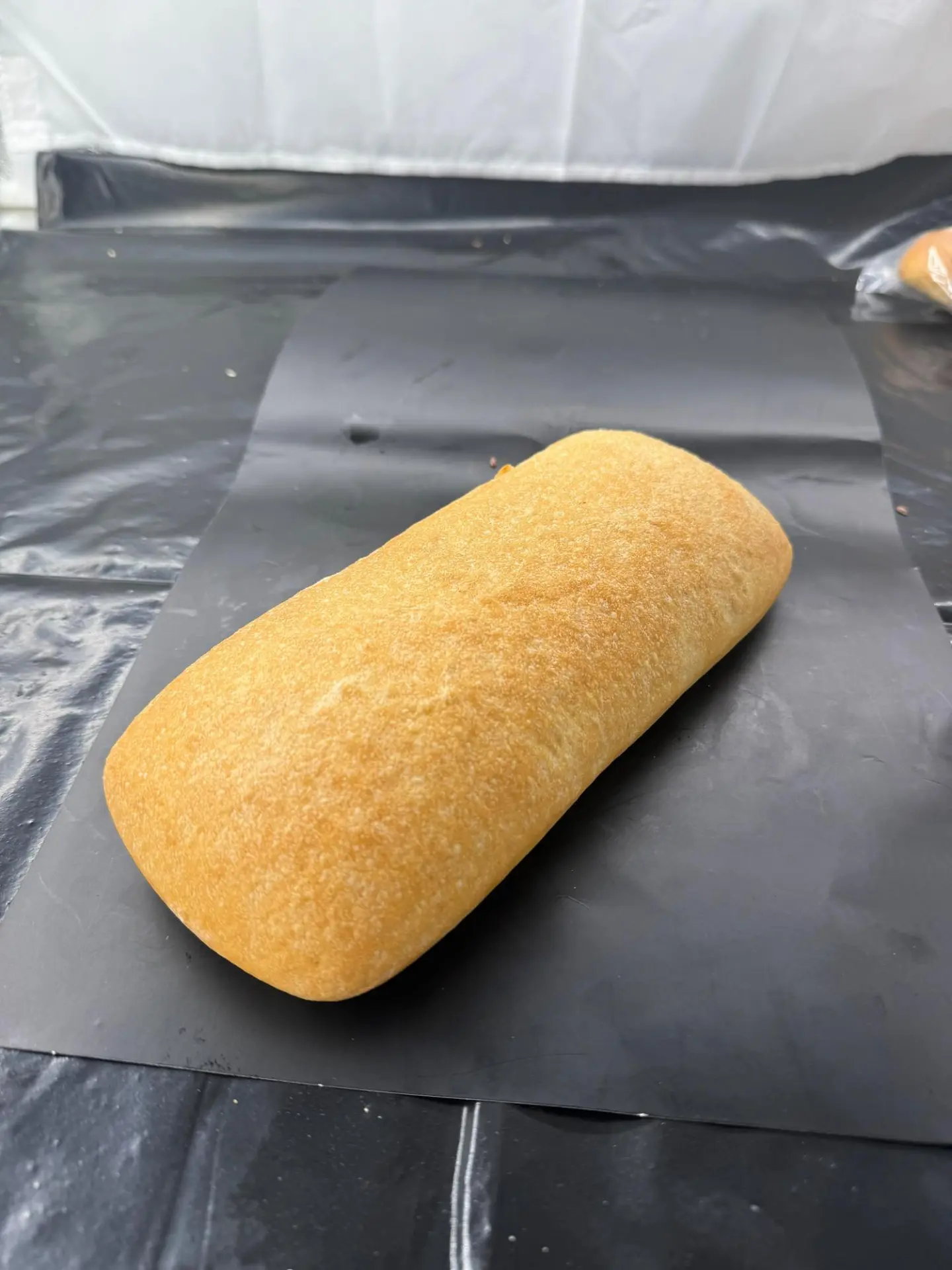 كيس شيباتا ابيض