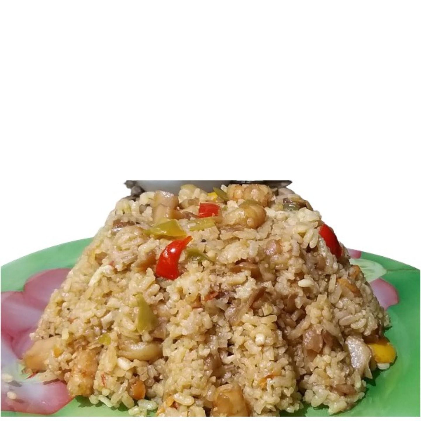 رز بالسي فود