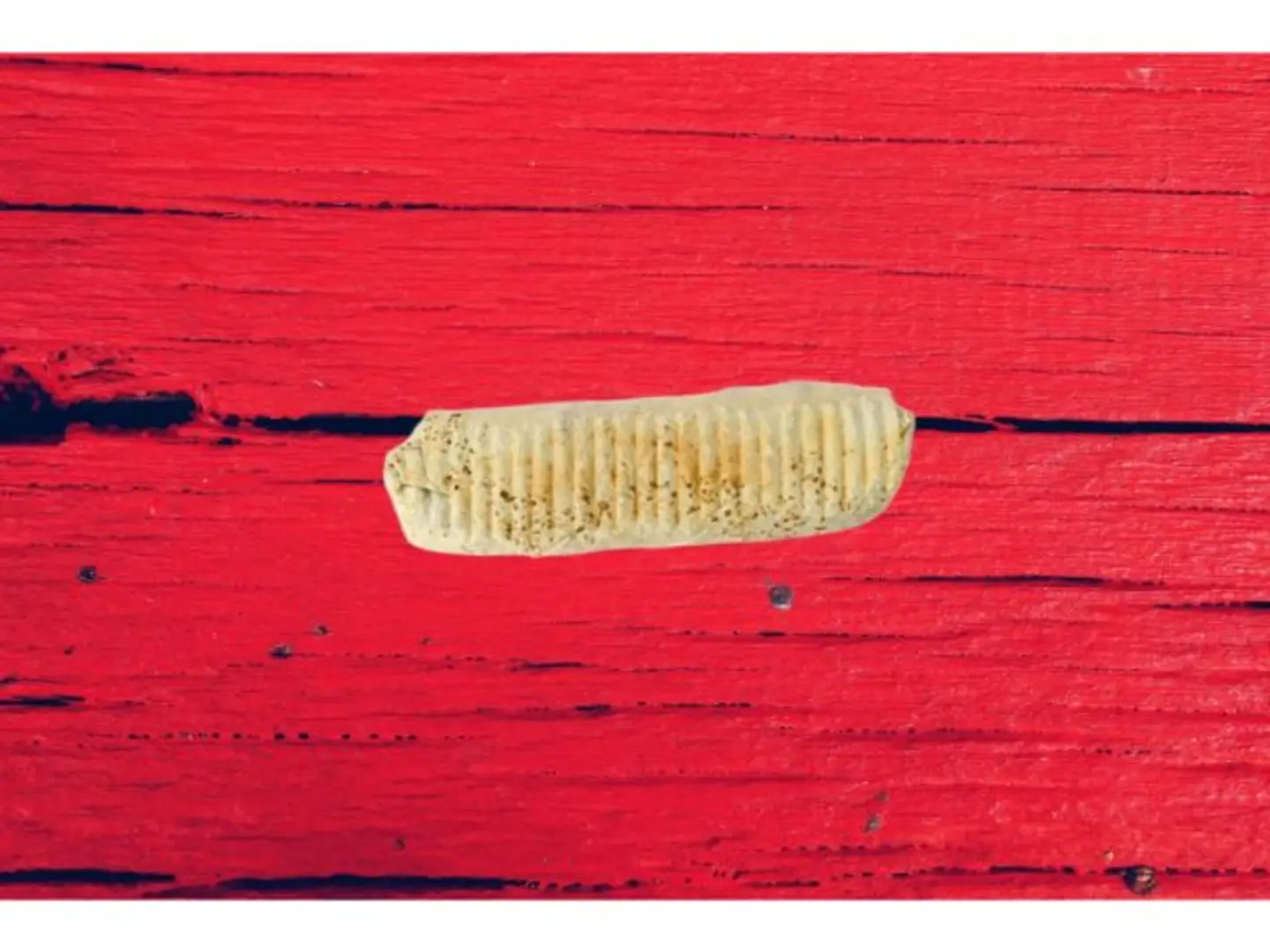 سندويش فلافل مع البيض بالخبز الصاج