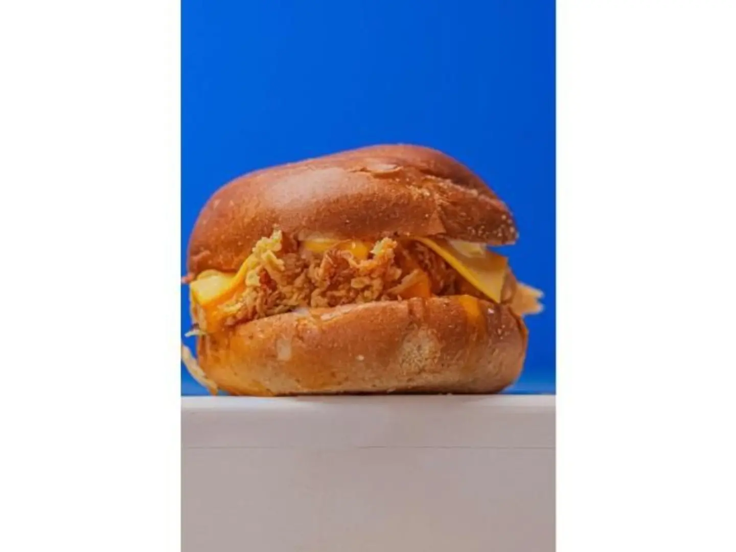 Crispy Chicken Burger