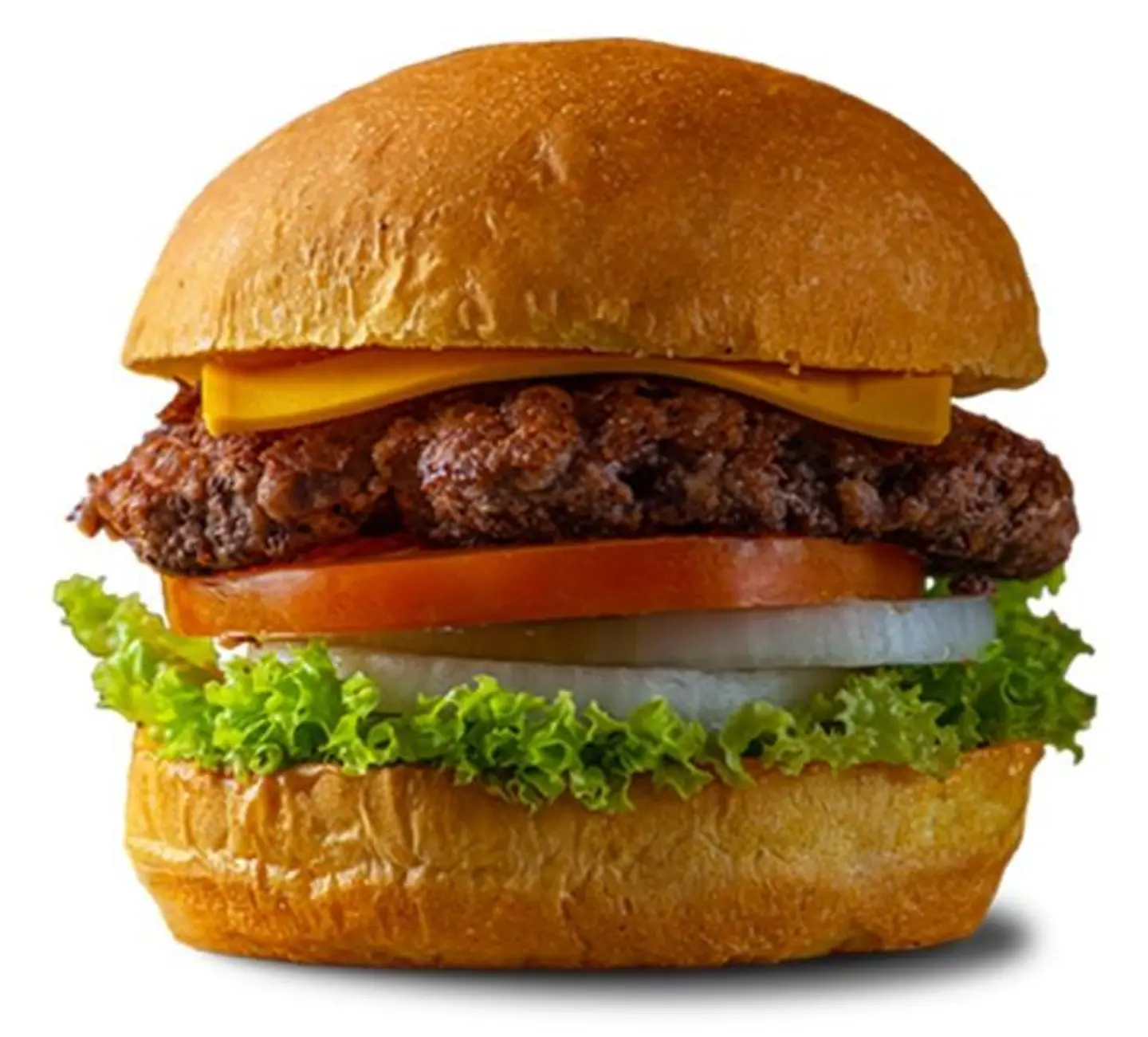 Beef Burger Sandwich