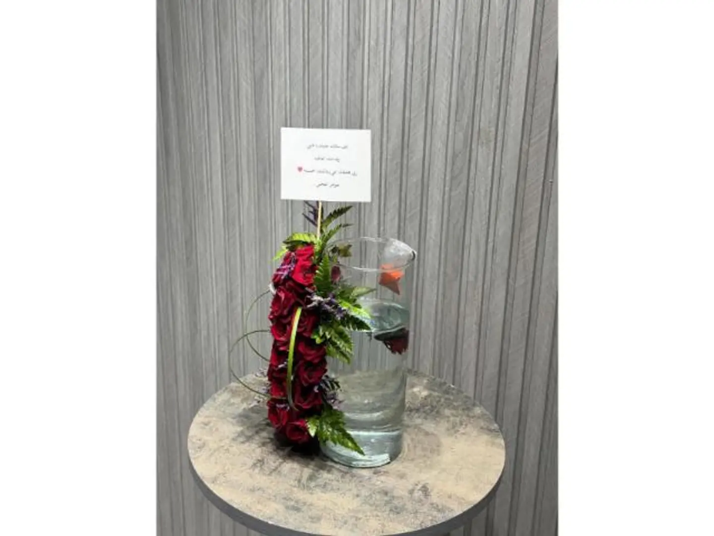 فازة السمك ٢