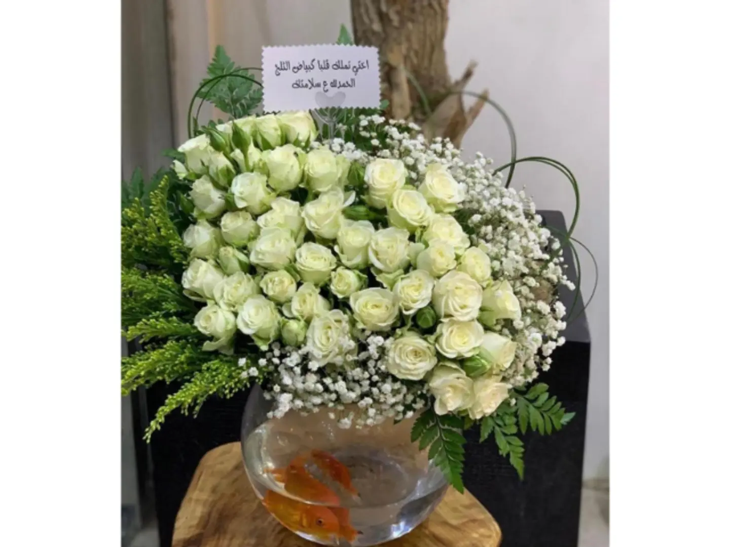 فازة السمكة 1