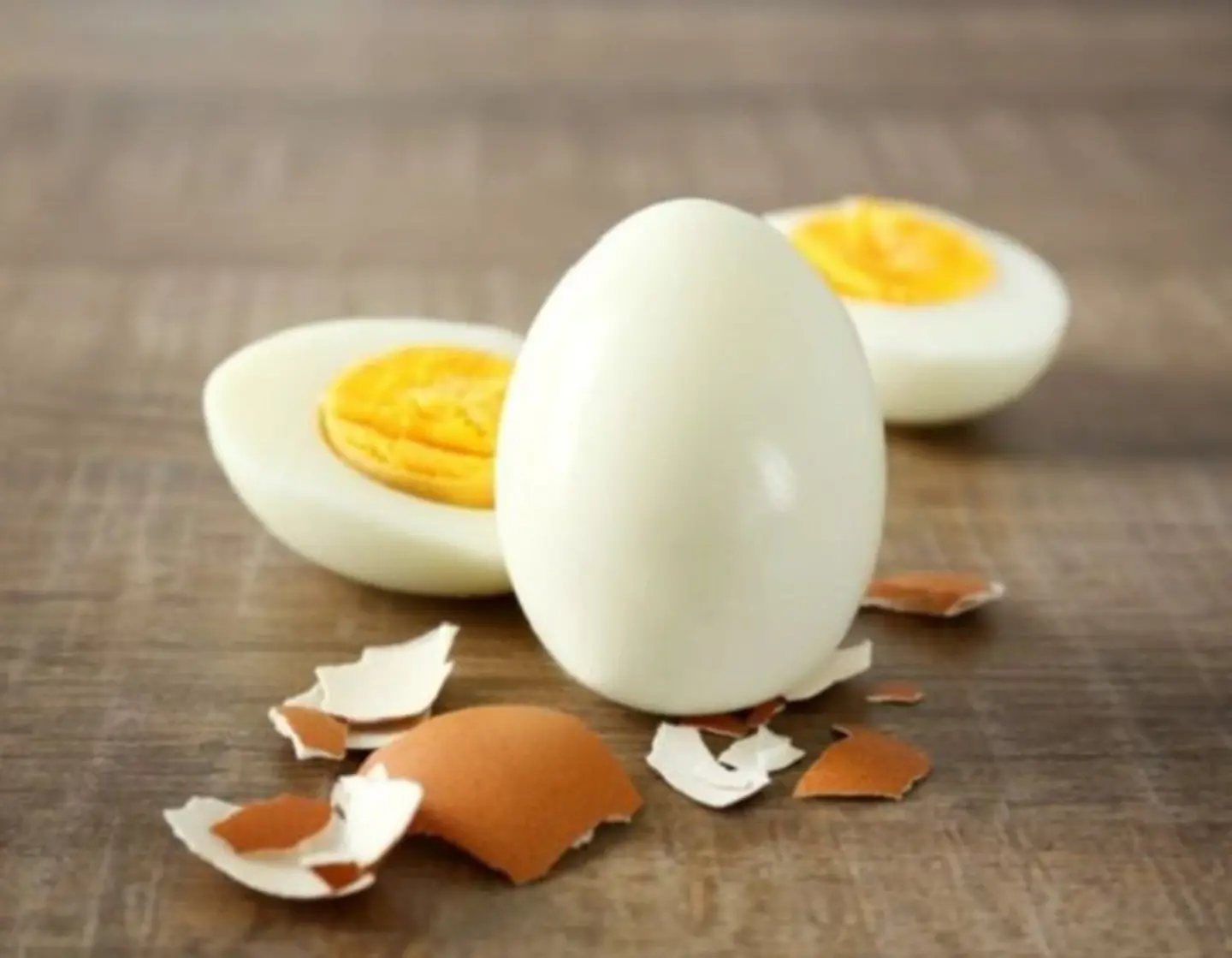 Egg 1
