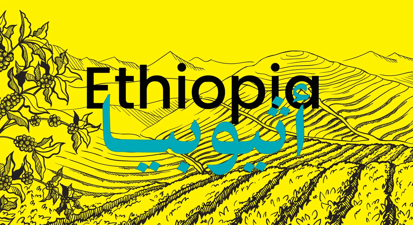 بن قهوة اثيوبيا