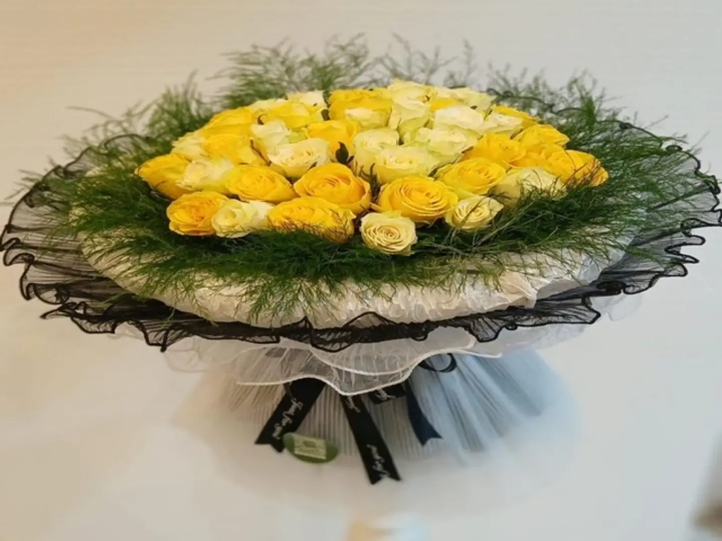 سيريناد مضاء بنور الشمس