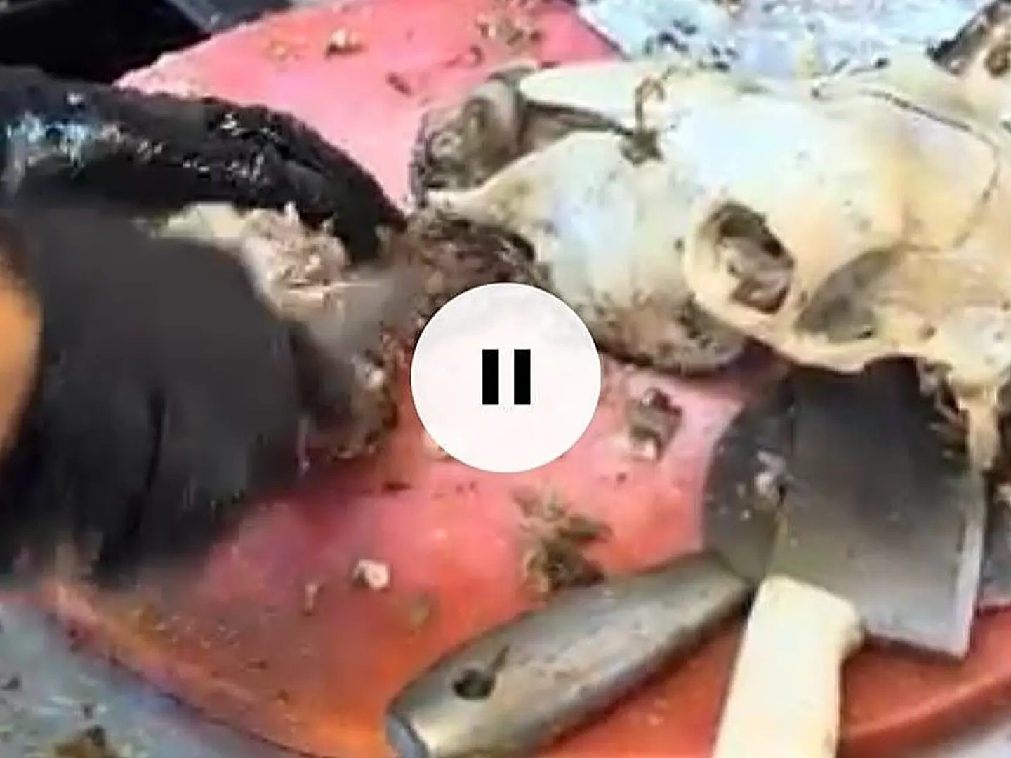 لحمة راس في الفرن