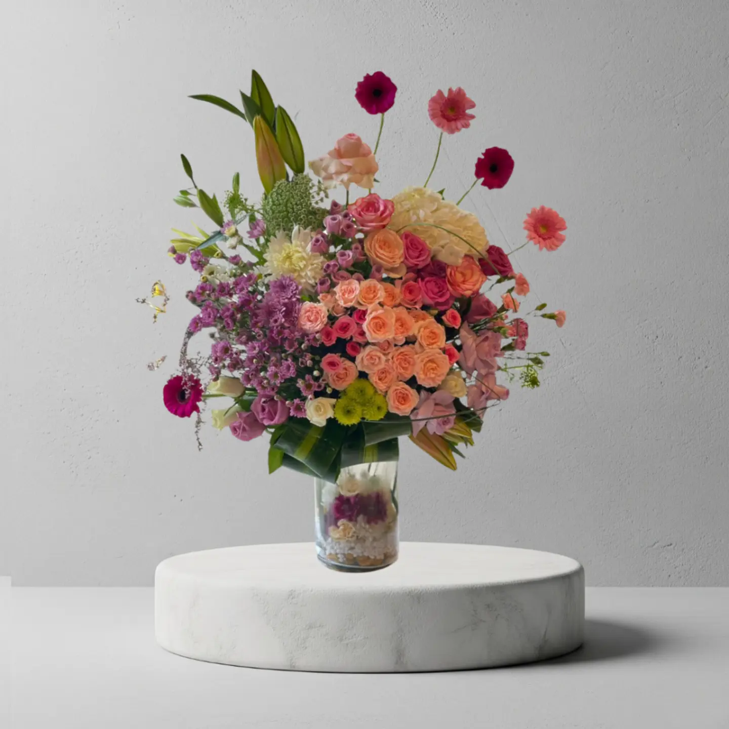 فازا ورد الجربيرا