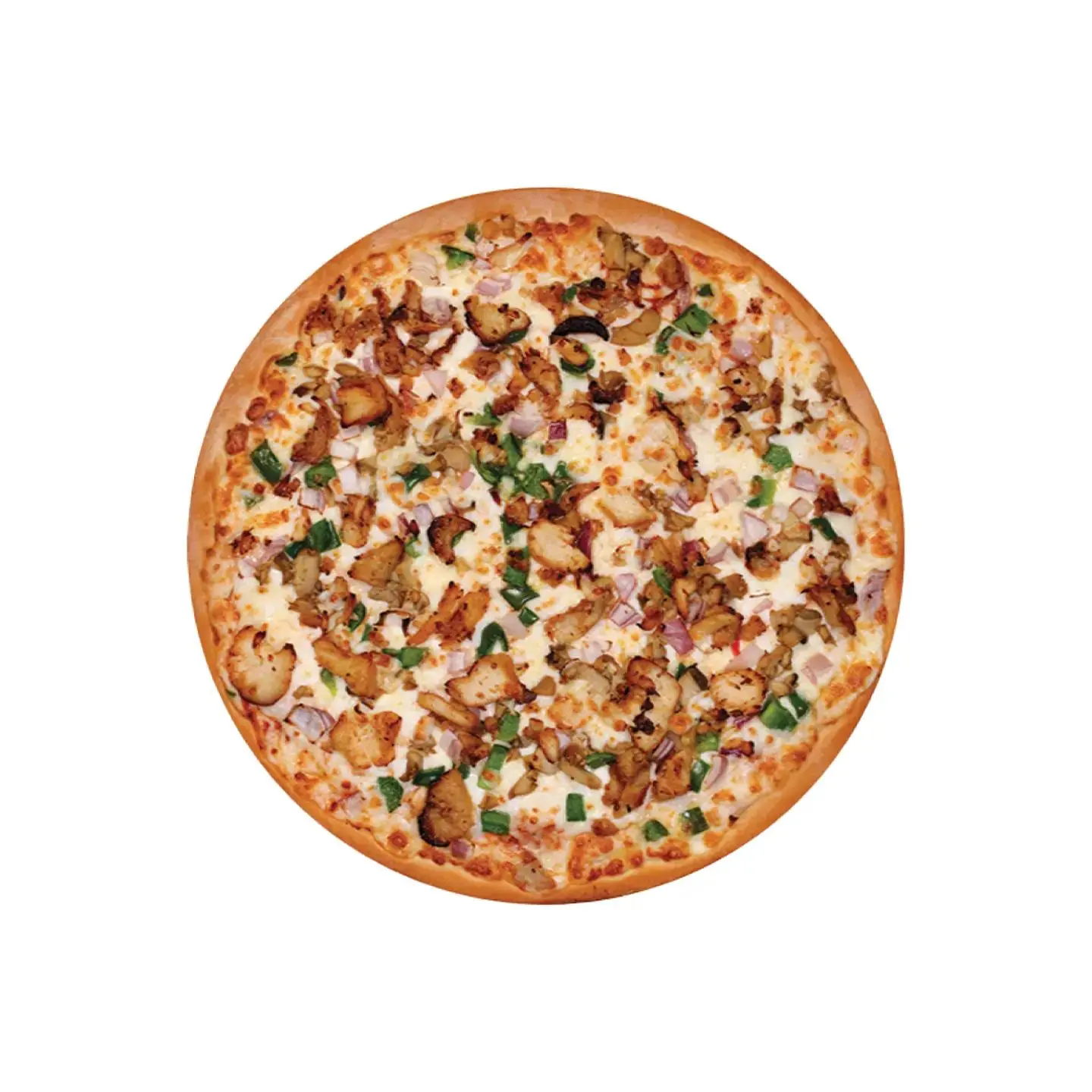 Mixed Chicken Pizza