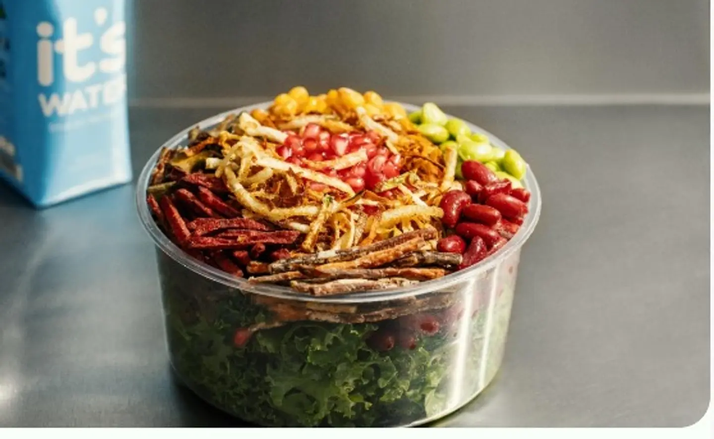 Seedling Salad - Medium