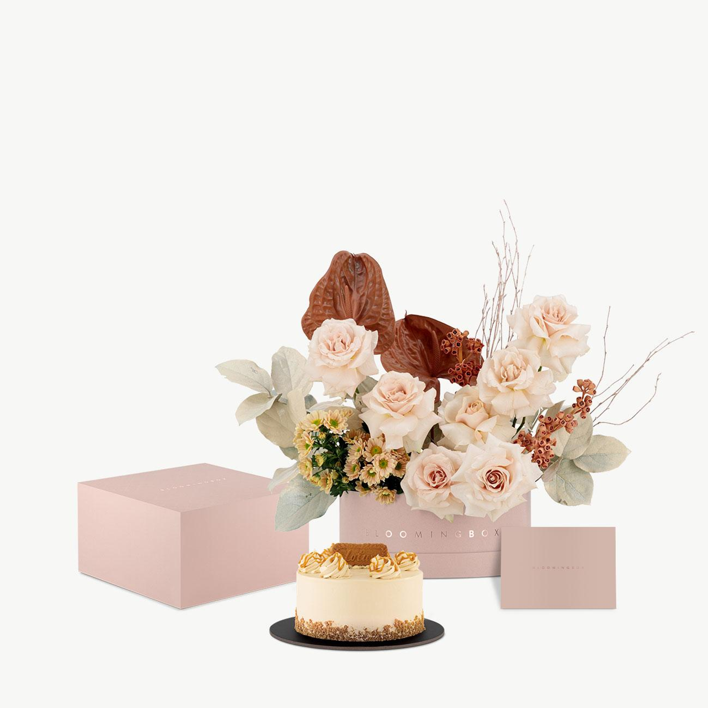 تشكيلة الفجر القصيرة مع الكيك