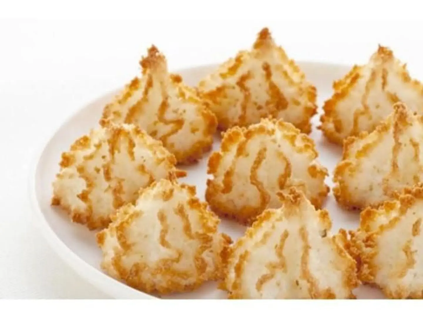 Coconut Discs