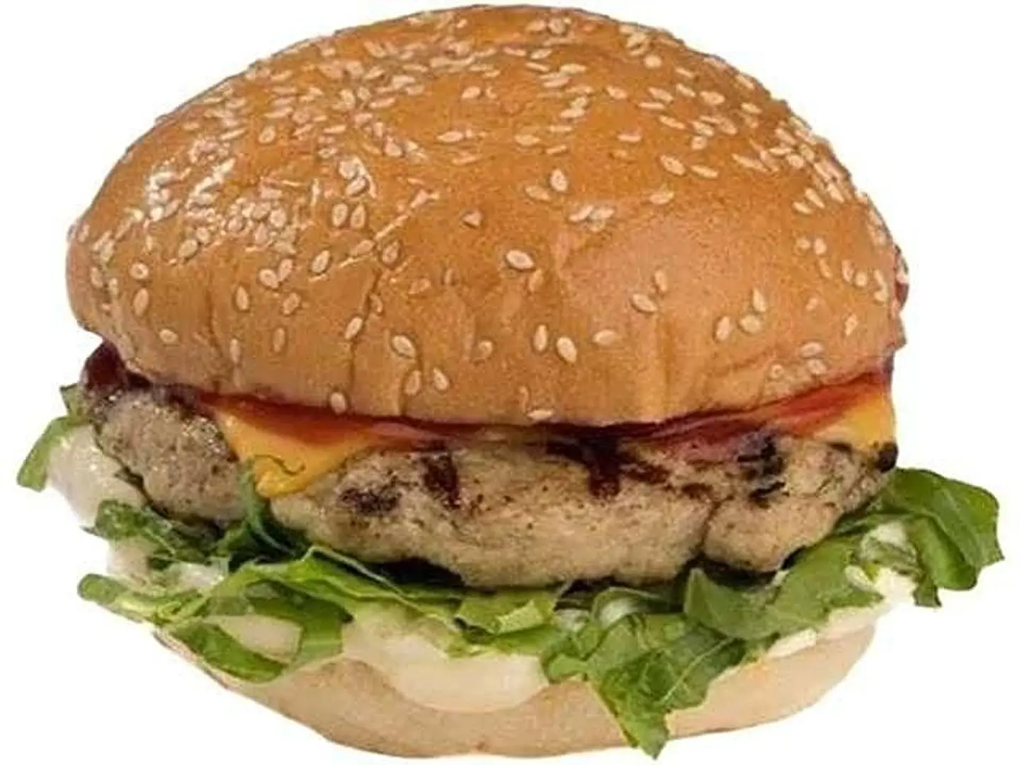 Grilled Chicken Burger