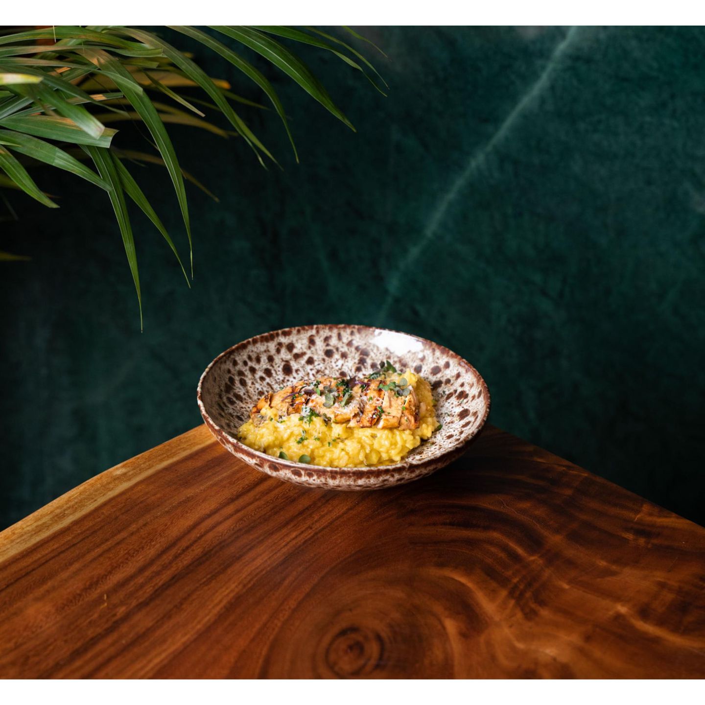 Saffron Risotto