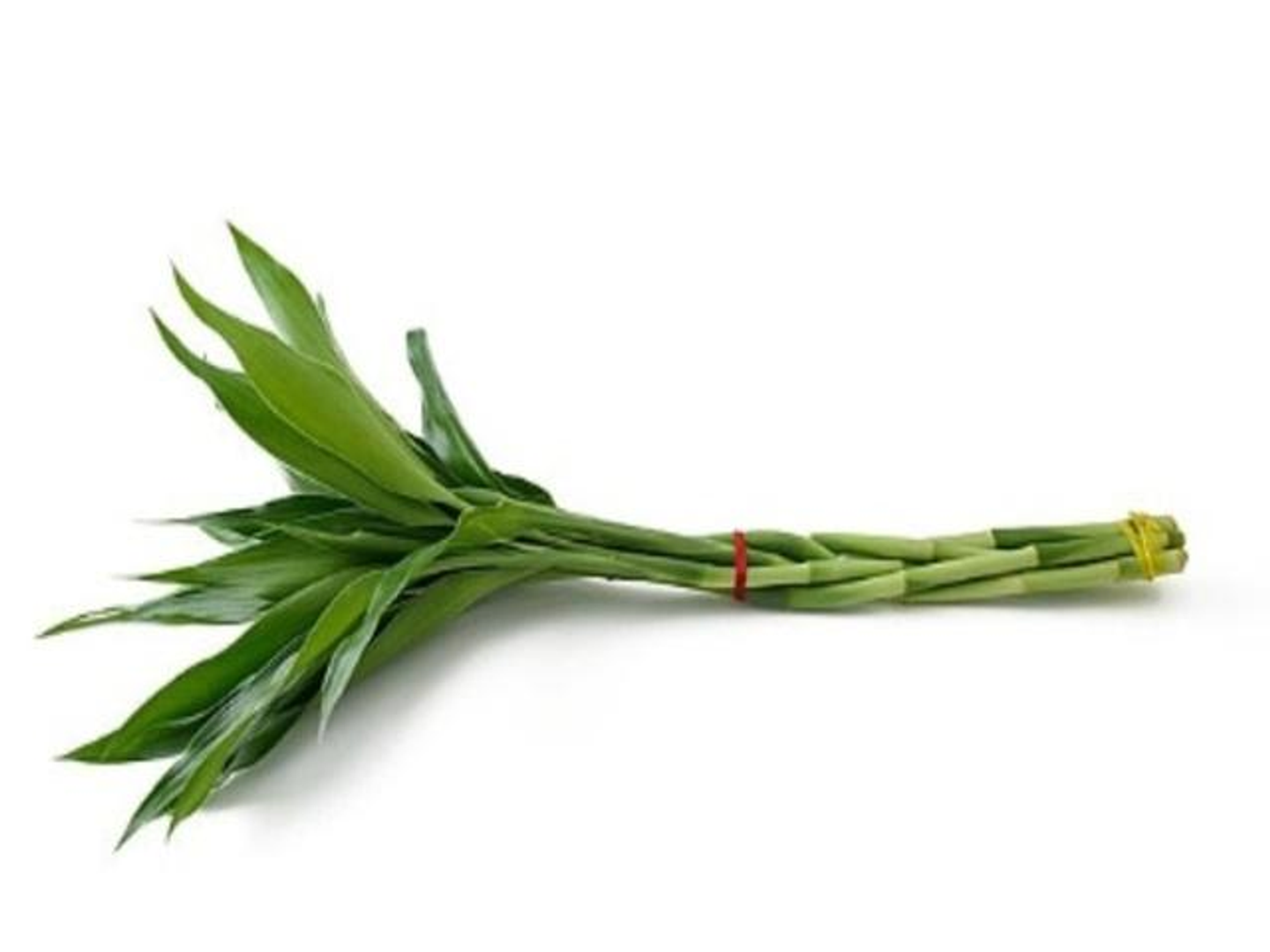 حزمة خيزران صغيرة
