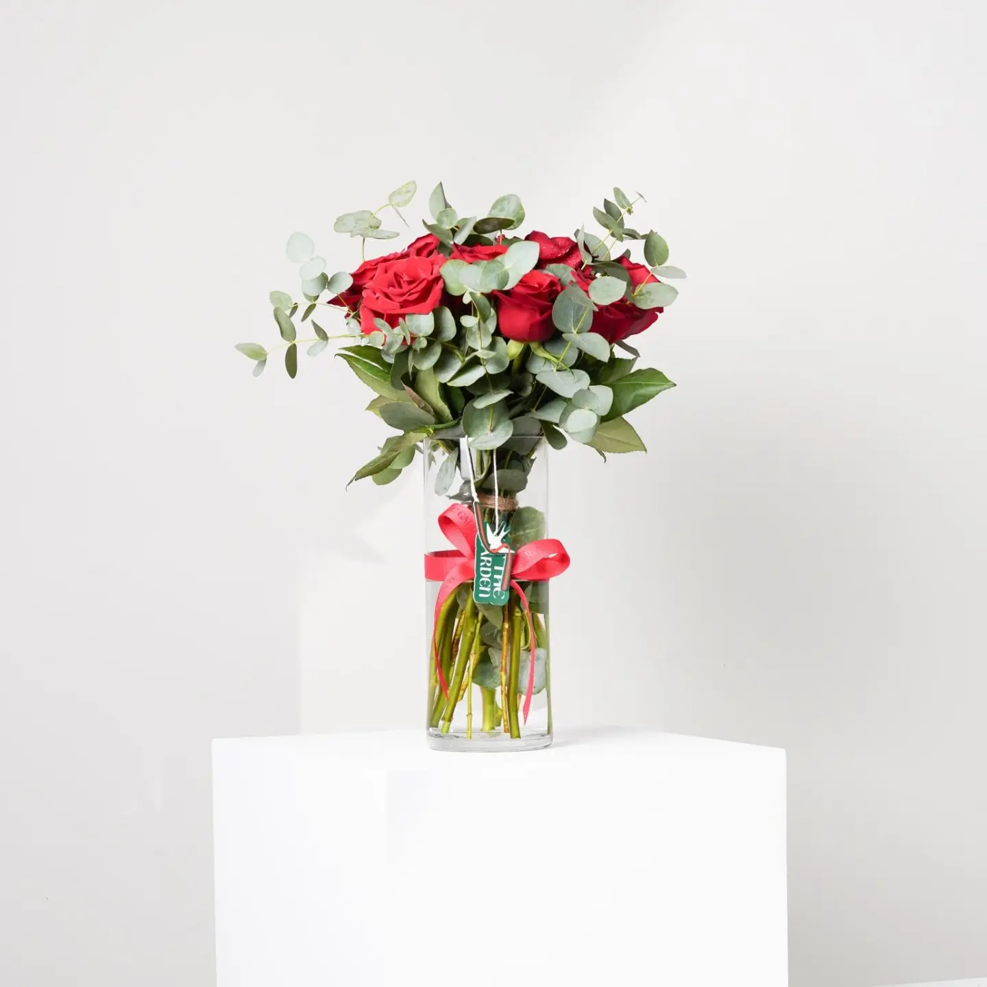 فازة الحب 10