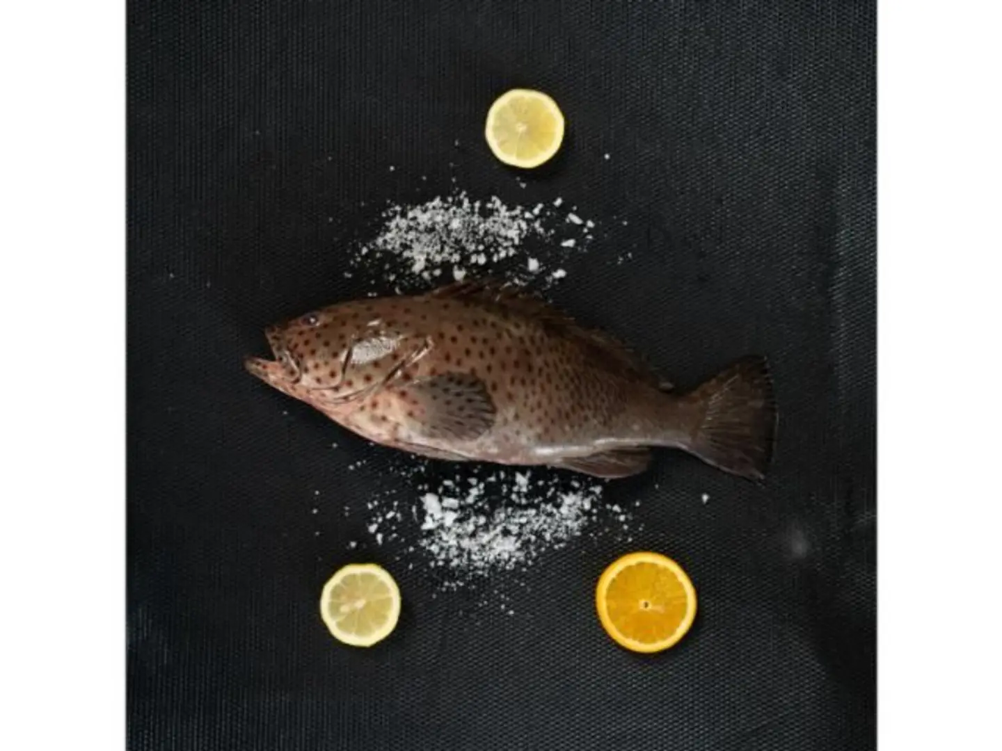 Hamour Fish 800 900 Gm