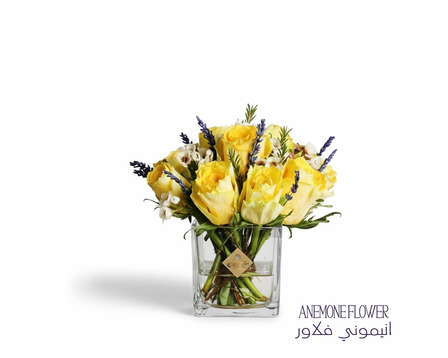 فازة شمس الصباح