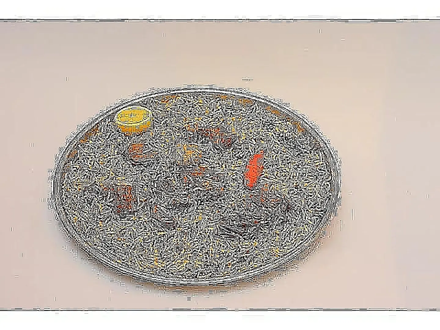 نفر‌ مضغوط حاشی