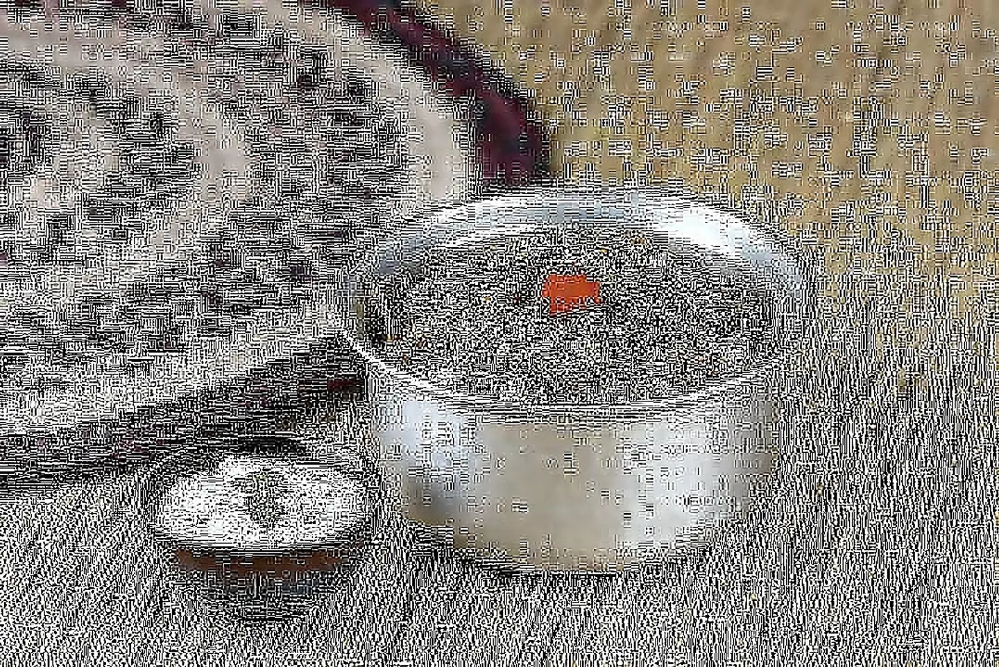 برياني ربيان