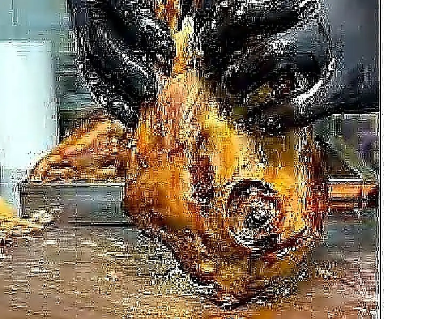 كباب ميرو ربع كيلو