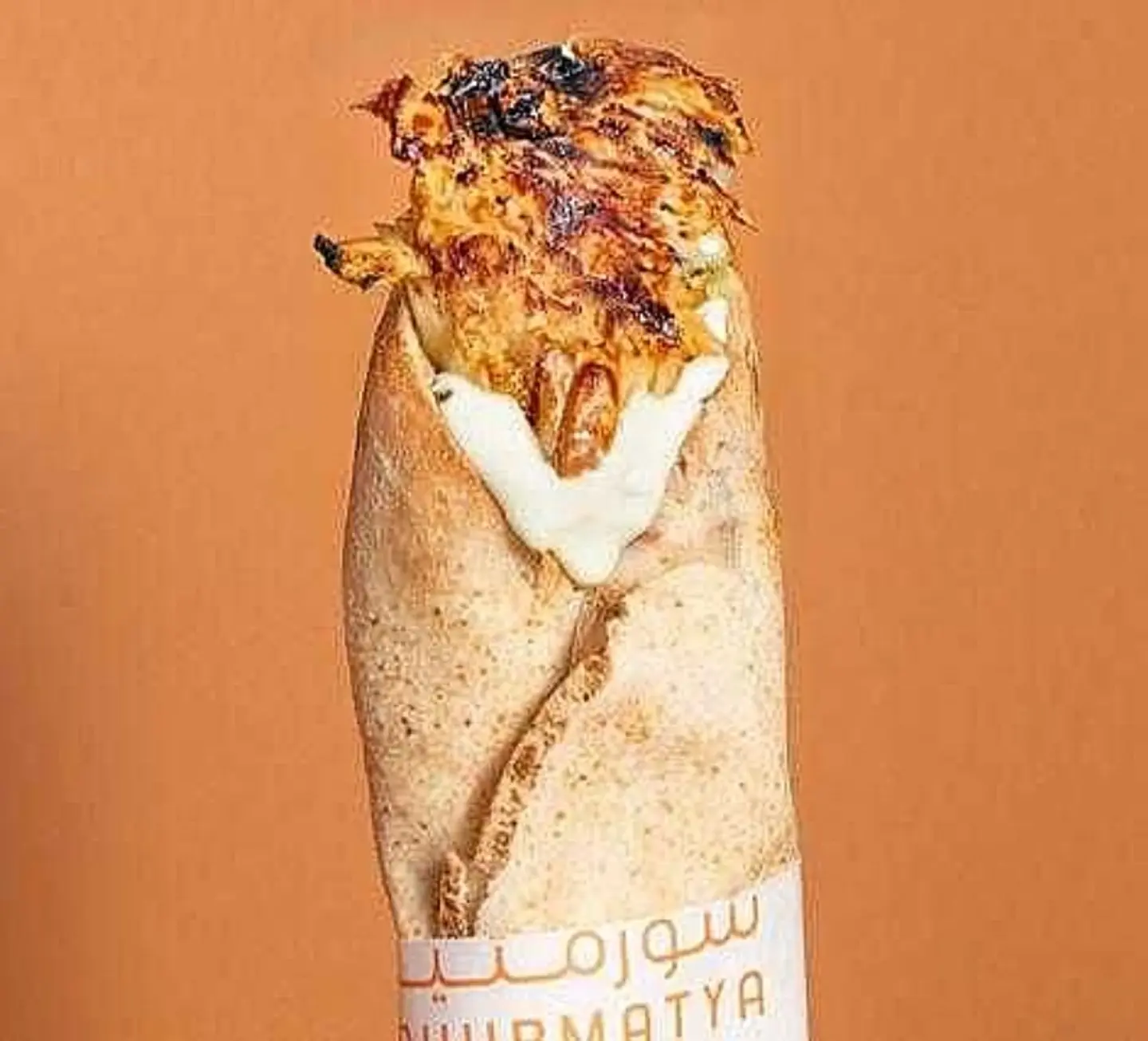 Lebanese Bread Shawarma