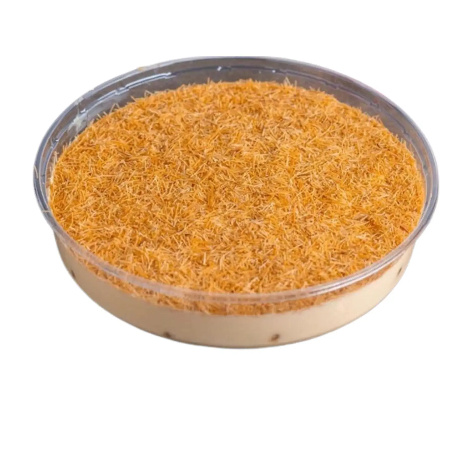 خشخاش صغير