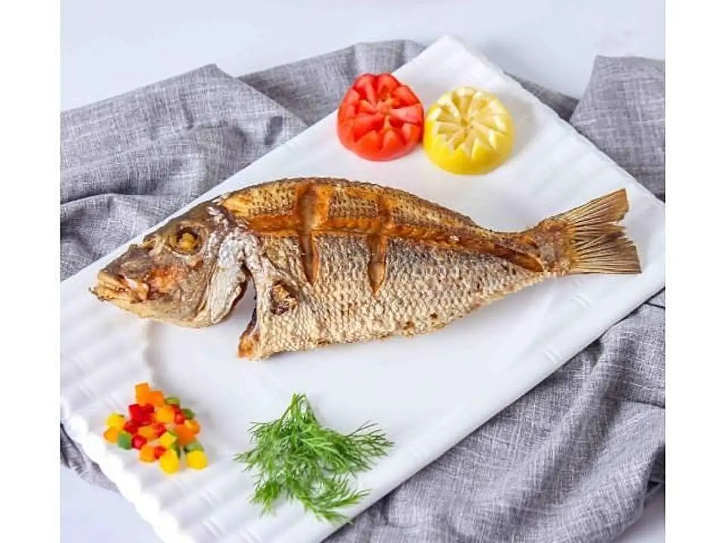 Shor Sea Bass