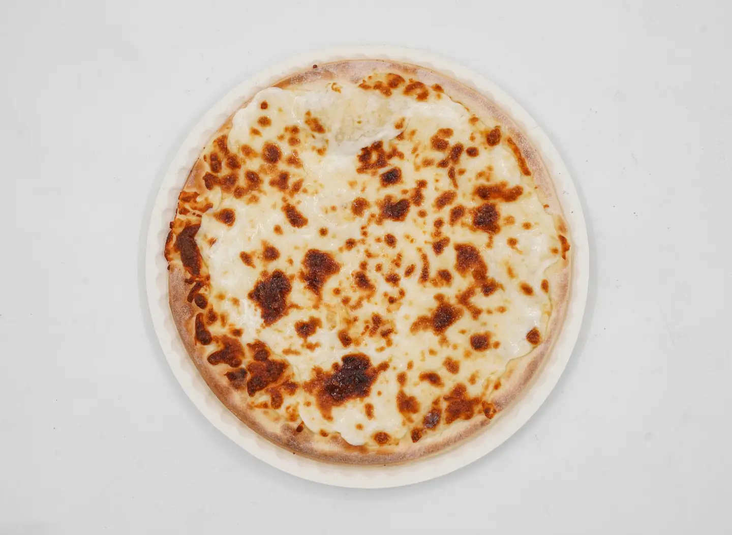 عش بلبل كبير