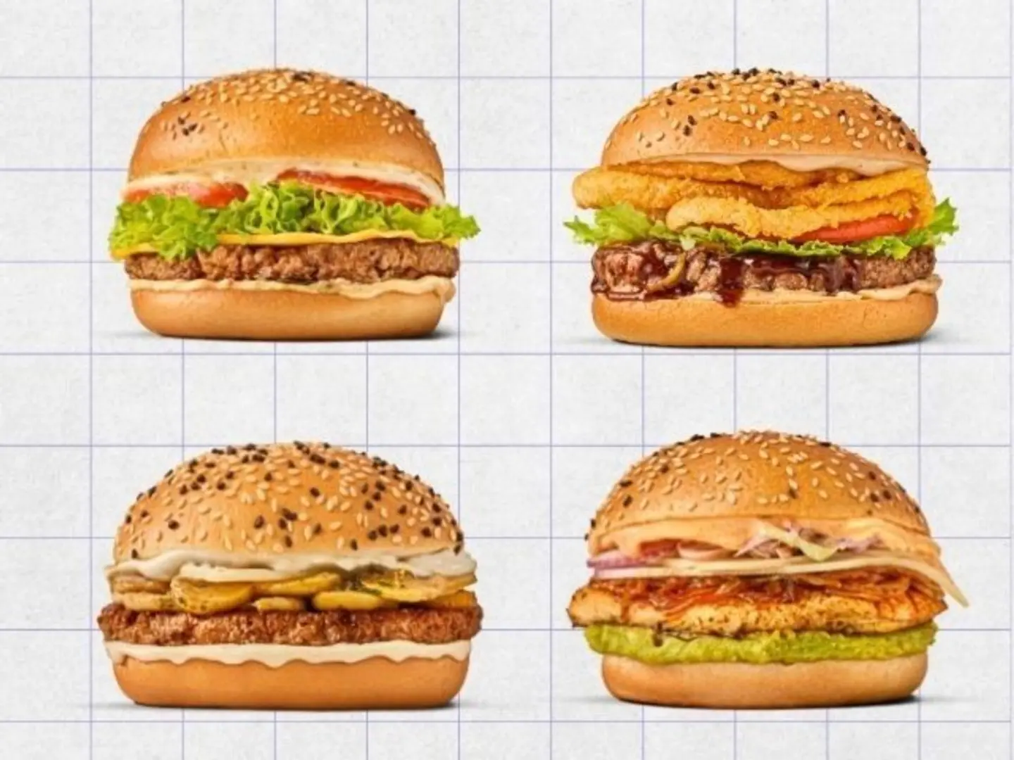 Burgers Bundle