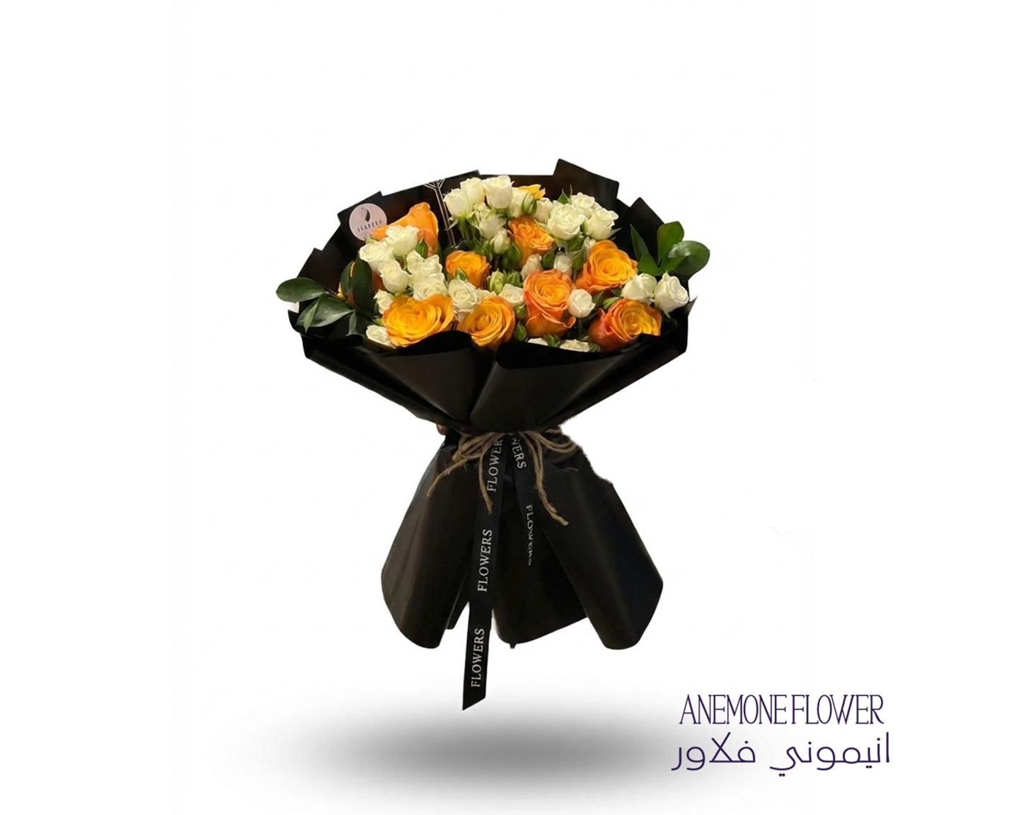 تناقض الشمس