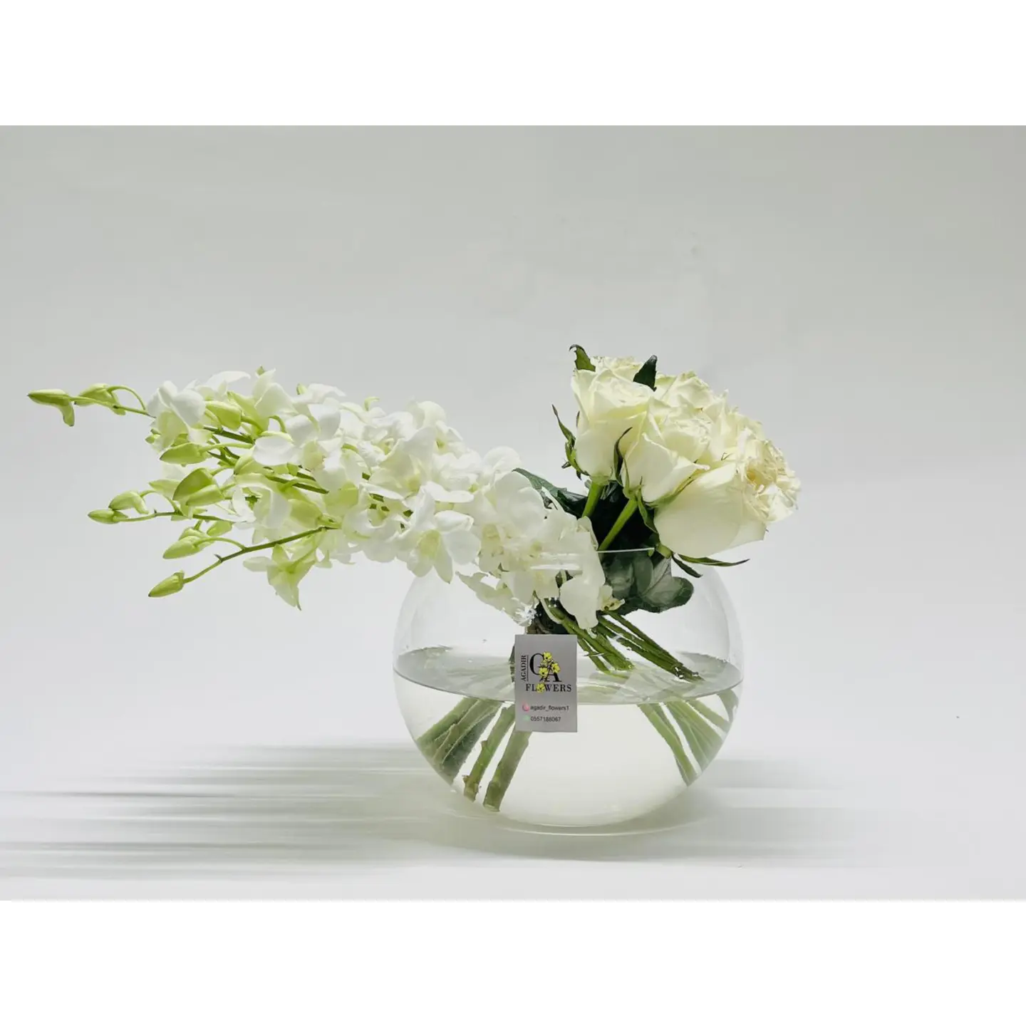 فازة ورد اغادير