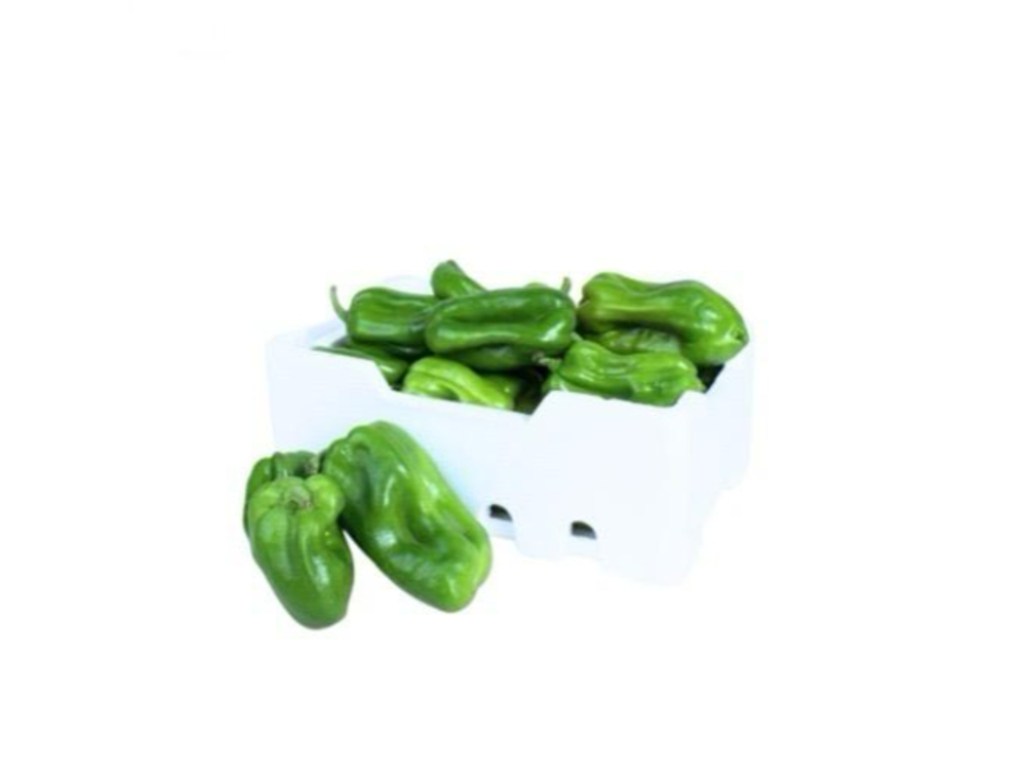 Green Capsicum Pepper Big Box