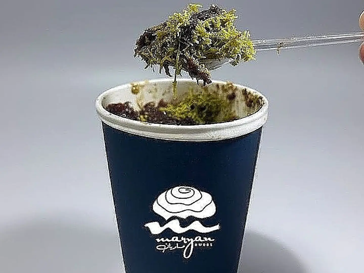 Pistachio Kunafa Pudding