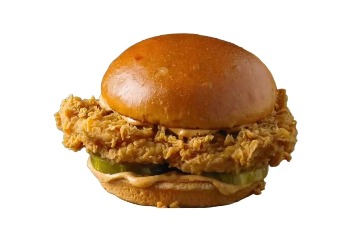 Crispy Burger Meal