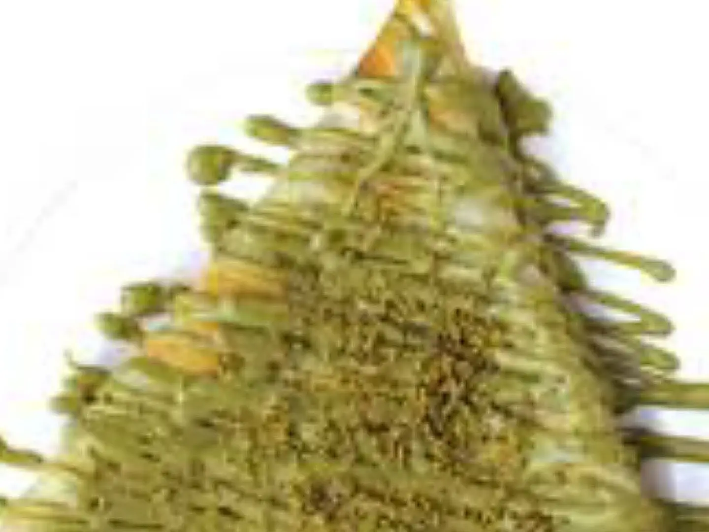 كريب بستاشيو