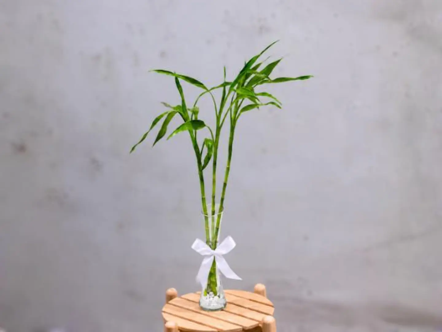 Three Bamboo Stems In Glass Vase