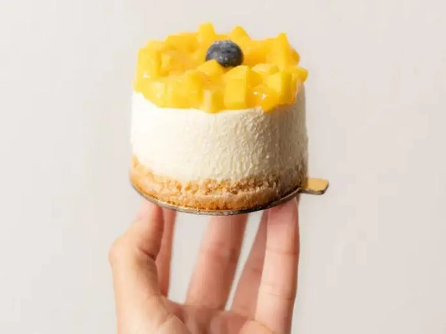 Mango Cheesecake   Small - Small