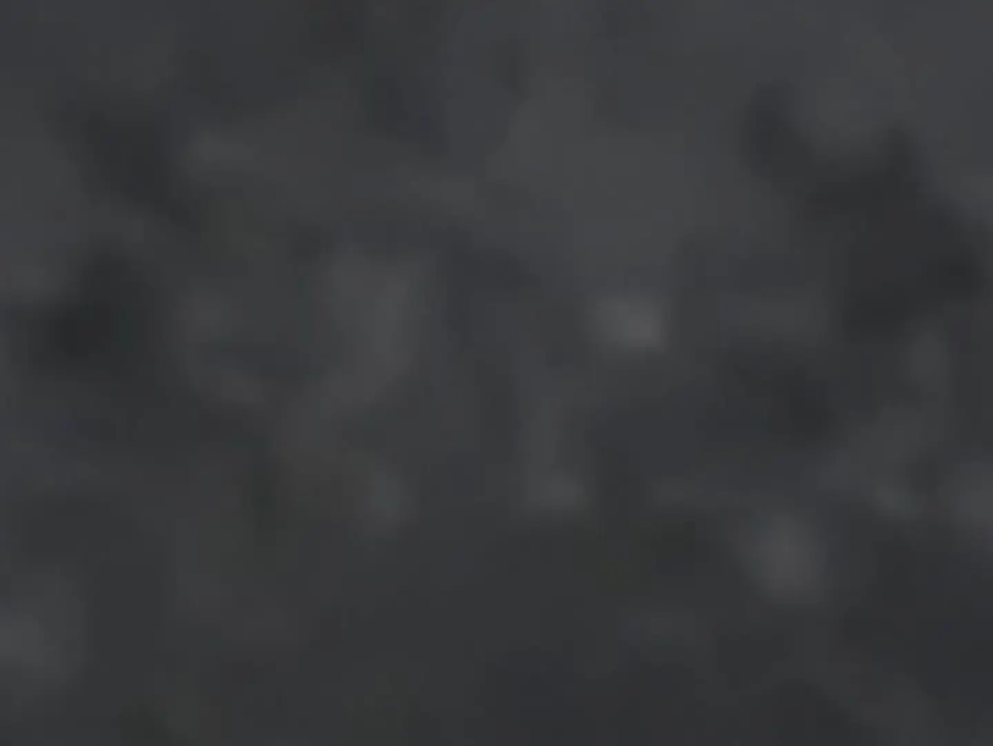 Shake Sashimi (Salmon)