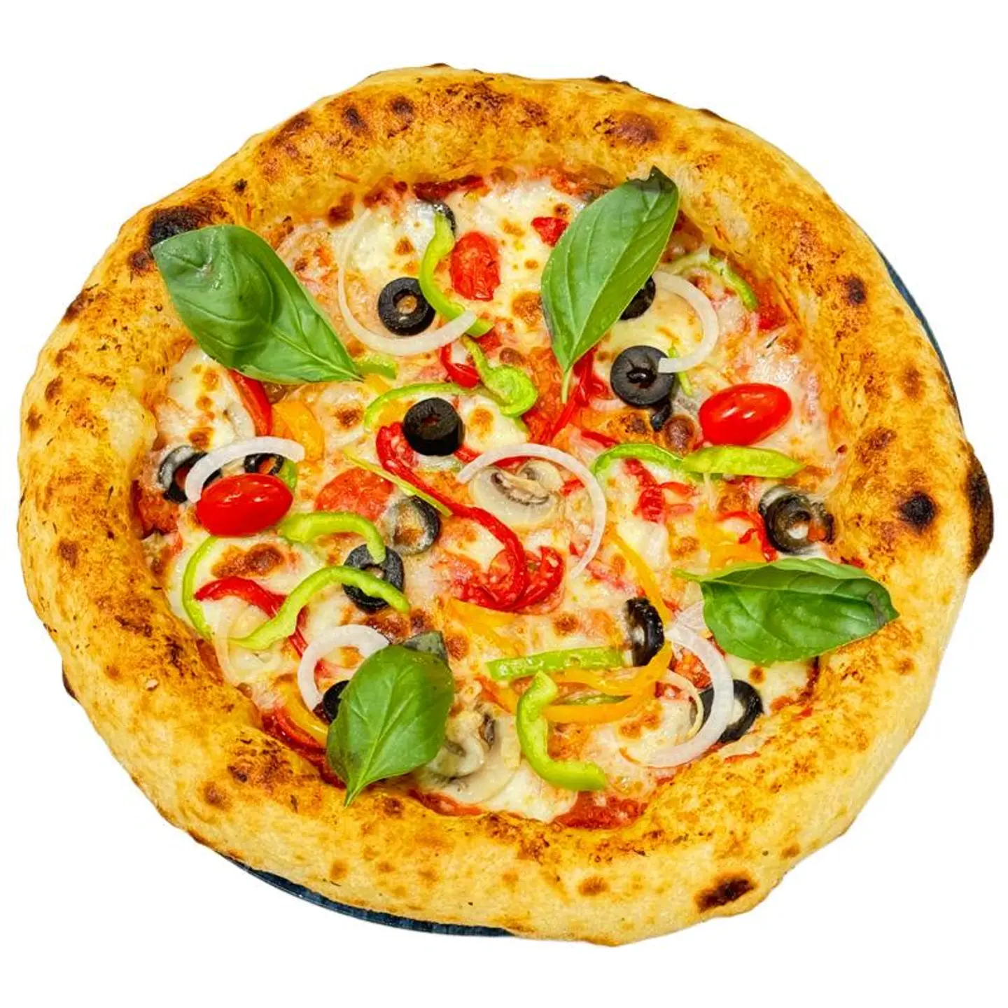 Vegetable Pizza