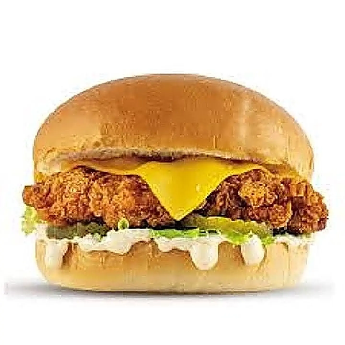 Crispy Chicken Burger Can