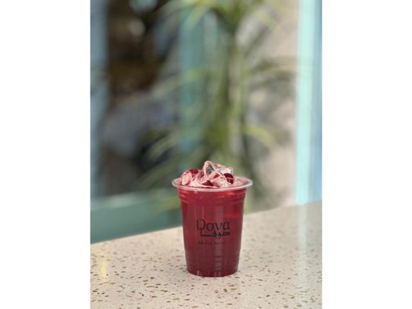 Iced Hibiscus