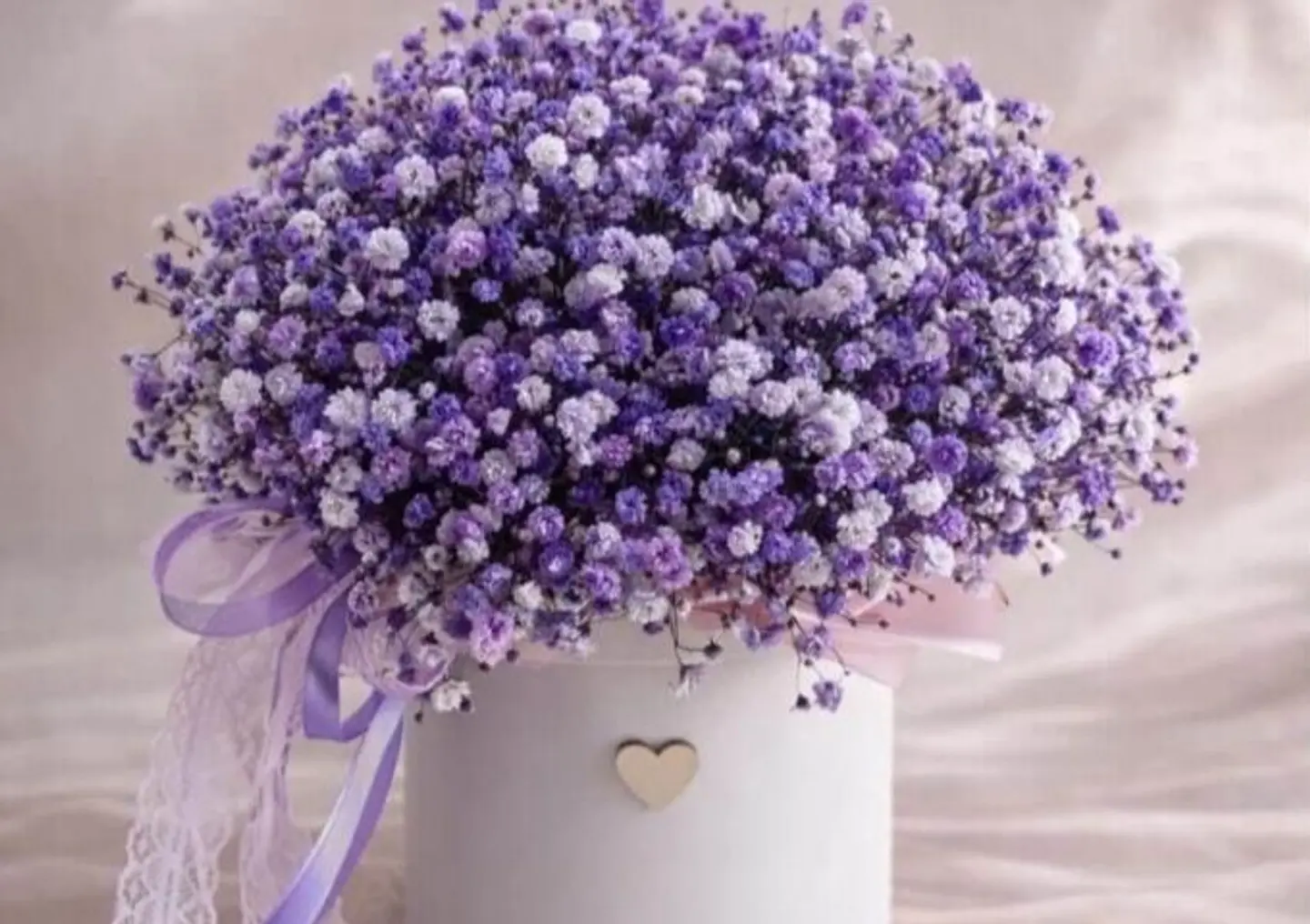 بوكس بربل كلاود