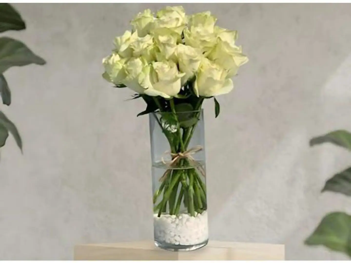 فازه 6