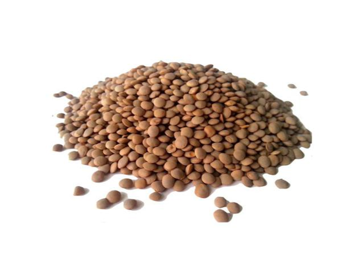 Brown Lentils