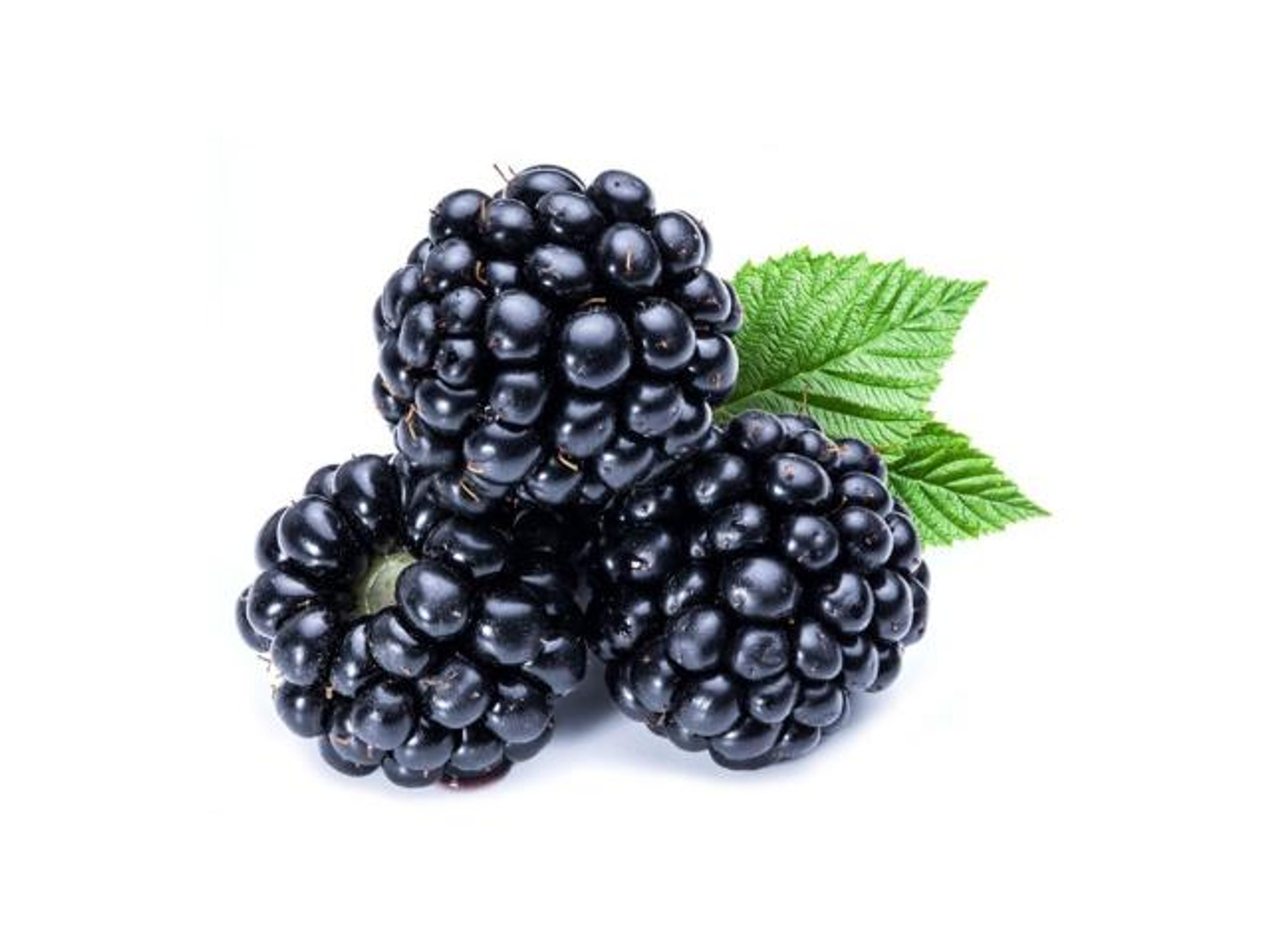 Blackberry