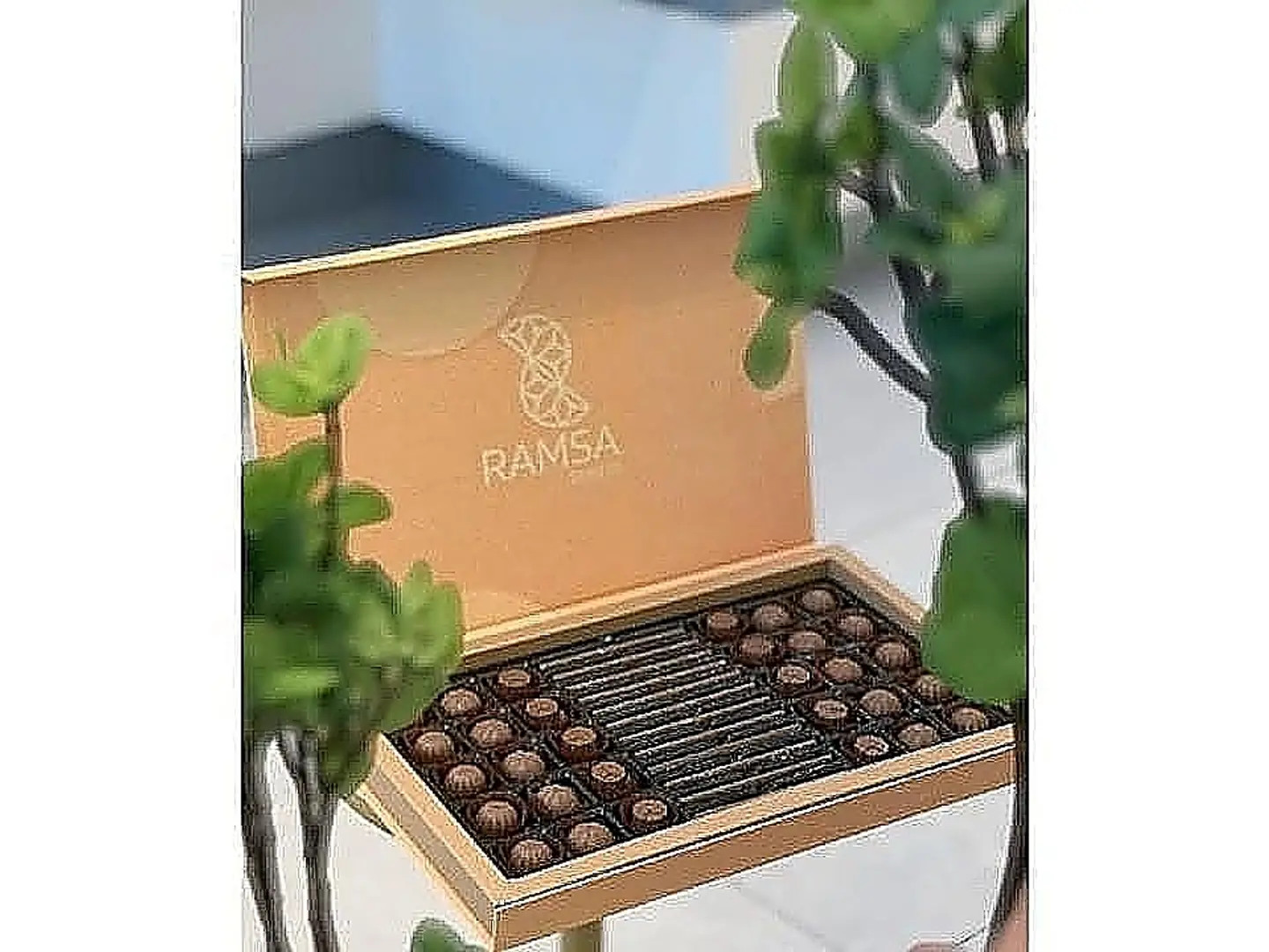 رمسه اصفر
