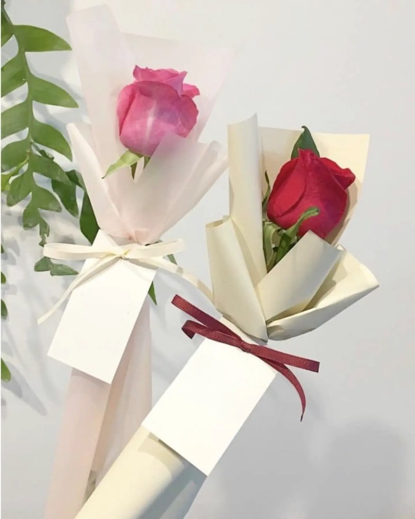 وردة توزيعات 3