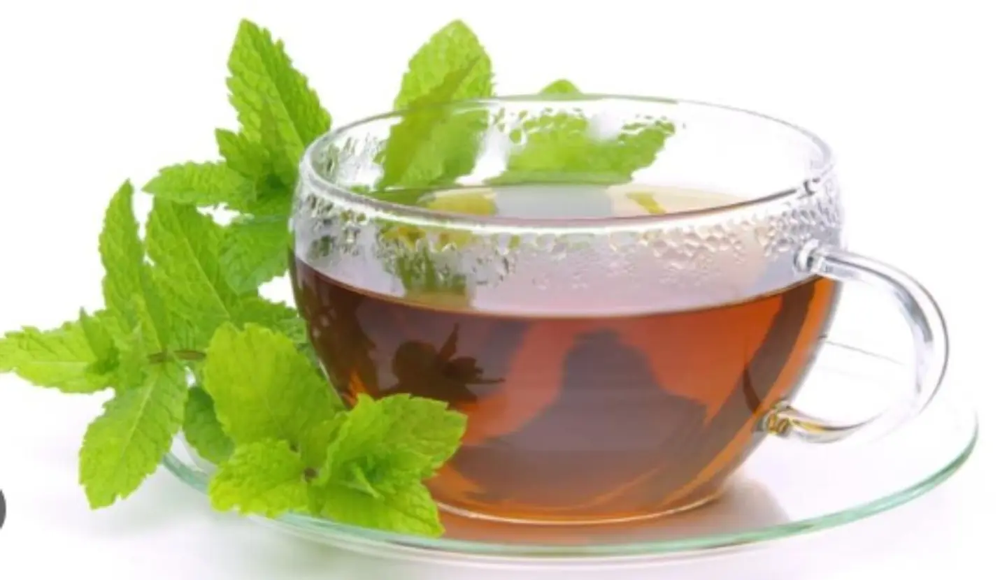Mint Tea