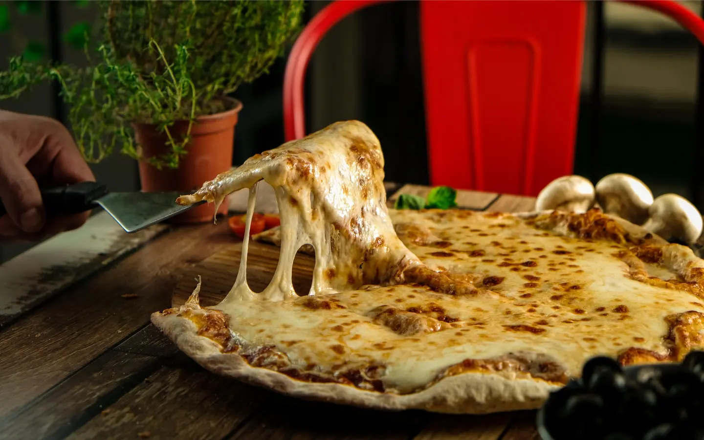 Margherita Pizza